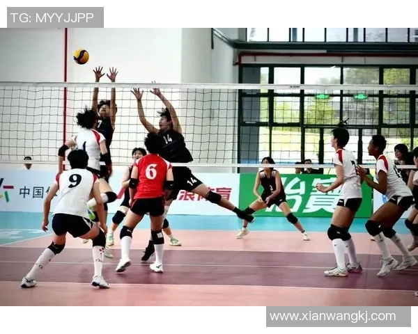 武汉排球队的奋斗与荣耀：一部排球精神的真实纪实之旅